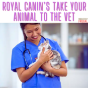Royal Canin and Uber Partner Up For The Annual 'Take Your Cat To The Vet'