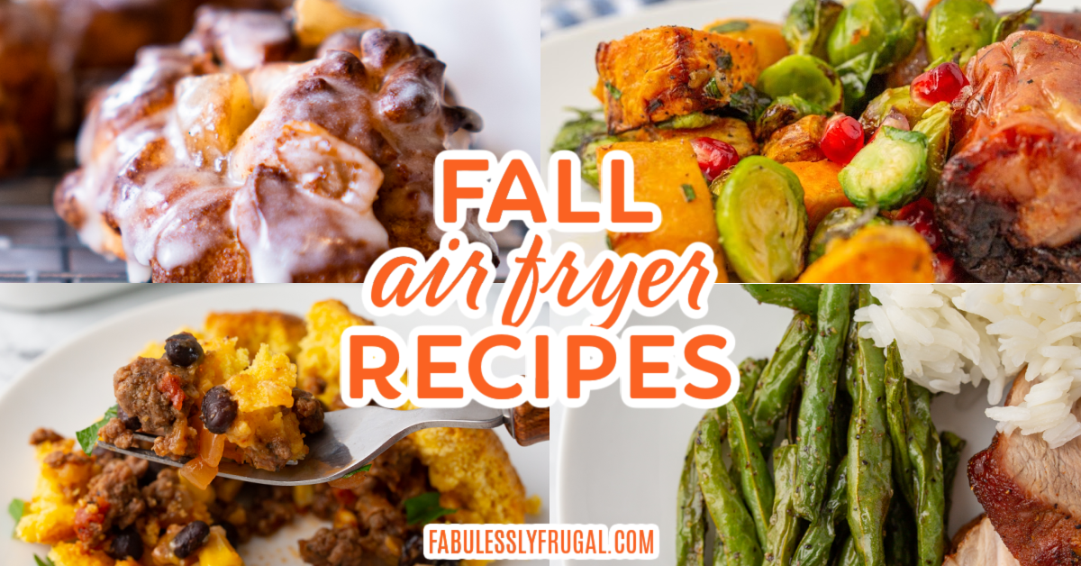 https://fabulesslyfrugal.com/wp-content/uploads/2023/08/air_fryer_fall_recipes.png