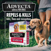 Advecta Ultra Flea & Tick Prevention For Dogs as low as $12.99 After...