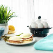 Bella Egg Cooker $14.99 (Reg. $25)