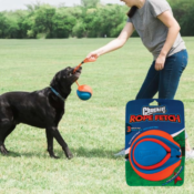 Chuckit! Rope Fetch Dog Toy as low as $8.08 Shipped Free (Reg. $23)