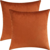 Cozy Velvet Square Decorative Throw Pillow Covers, Set of 2 from $10.39...