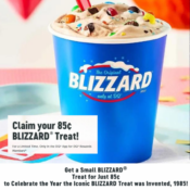 Get the Dairy Queen App and Claim your 85¢ Mini BLIZZARD Treat
