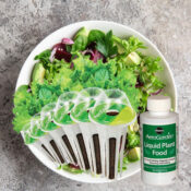 Aerogarden Salad Greens Seed 6-Pod Kit as low as $7.20 Shipped Free (Reg....
