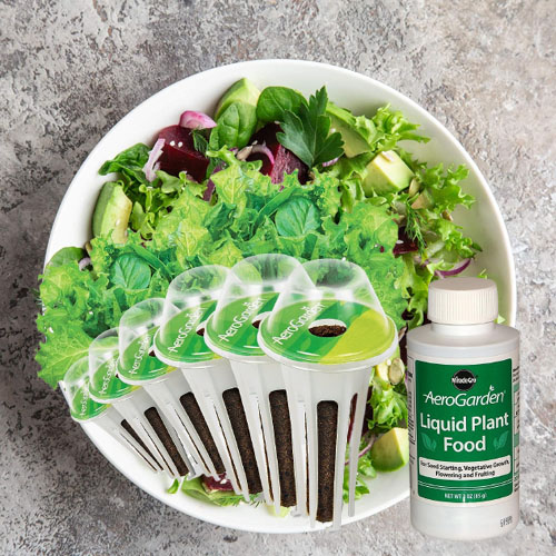 https://fabulesslyfrugal.com/wp-content/uploads/2023/10/Aerogarden-Salad-Greens-Seed-6-Pod-Kit.jpg