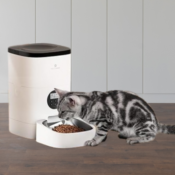 Amazon Cyber Monday! Automatic Cat Food Dispenser, 4L $56 Shipped Free...