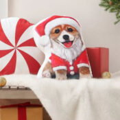 Birch Trail Holiday Dog Decorative Throw Pillow, 10x14-inches $8 (Reg....