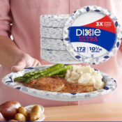 https://fabulesslyfrugal.com/wp-content/uploads/2023/10/Dixie-Ultra-Heavy-Duty-10-inch-Paper-Plates-172-Count-175x175.jpg