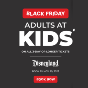 Get Away Today Black Friday Sale! Disneyland Adults at Kids' Prices on...