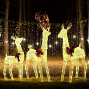 Illuminate your outdoor space with this Light Up Deer Family, 3-Piece Set...