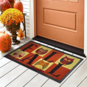 Non-Slip Fall Doormat $10 (Reg. $25)