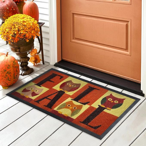 https://fabulesslyfrugal.com/wp-content/uploads/2023/10/Non-Slip-Fall-Doormat.png