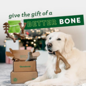 Benebone Medium Holiday 4-Pack Dog Chew Toys as low as $10.48 After Coupon...