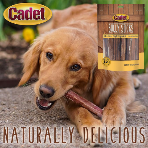 Cadet clearance bully sticks