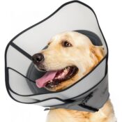 Dog Cone for After Surgery, Large $10.40 After Code + Coupon (Reg. $26)