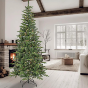 Kohl's Cyber Monday! National Tree Company 7-Foot Pacific Mixed Pine 350-Light...