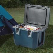 https://fabulesslyfrugal.com/wp-content/uploads/2023/11/Ozark-Trail-Hard-Sided-High-Performance-35-Quart-Cooler-with-Microban-Blue-175x175.jpg