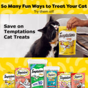 Amazon Cyber Monday! Save on Temptations Cat Treats as low as $9.76 Shipped...