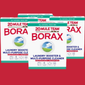 20 Mule Team 4-Pack Borax Boxes as low as $15.52 After Coupon (Reg. $25.49)...