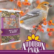 Audubon Park Nut, Fruit & Berry Wild Bird Food, Dry, 15 lbs. $9.99 (Reg....