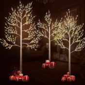 Create a magical ambiance with the warm yellow glow of these Birch Trees...