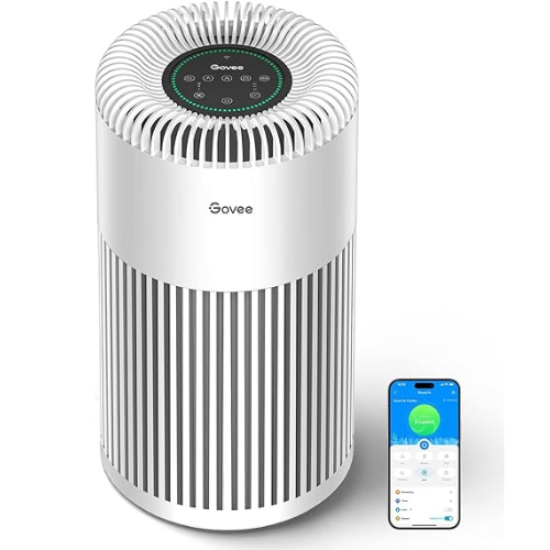 https://fabulesslyfrugal.com/wp-content/uploads/2023/12/Govee-Air-Purifier-.png