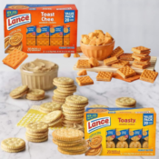Lance 40-Count Toasty and Toastchee Peanut Butter Sandwich Crackers as...