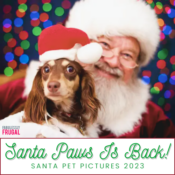 Christmas Time Isn't Complete Without A Santa Pic With Your Furry Friends!