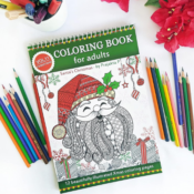 Santa's Christmas Adult Coloring Book $9.44 (Reg. $13.49) - FAB Gift