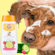 Arm & Hammer Pet 2-in-1 Detangling Shampoo, 16 Oz as low as $3.07 After...