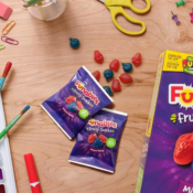 Funables 40-Count Mixed Berry Fruit Flavored Snacks as low as $4.39 After...