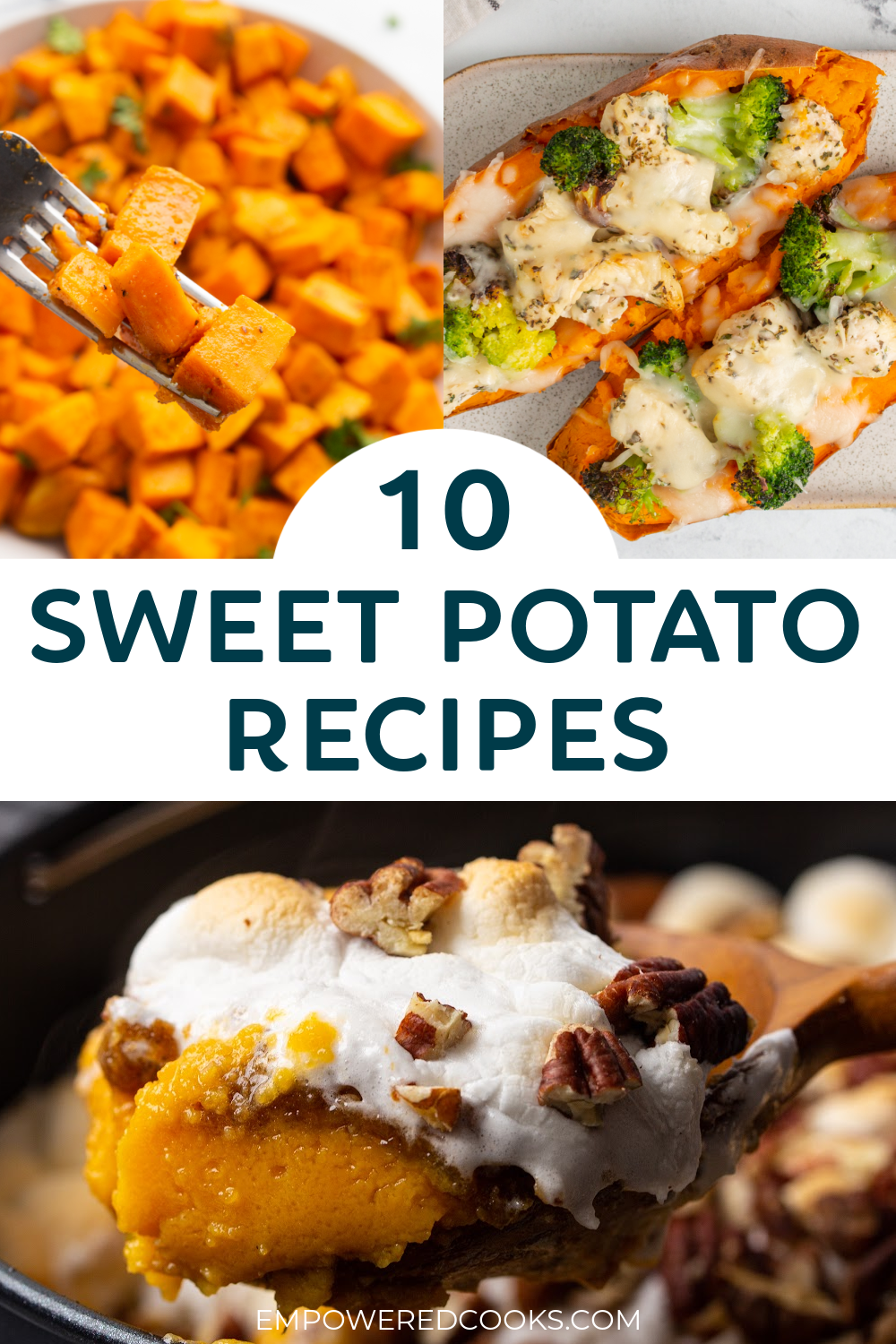 10 sweet potato recipes