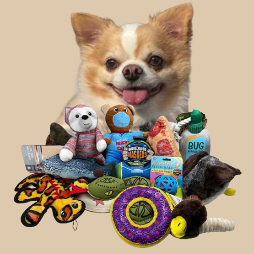 Toys for Dogs (Free Shipping)