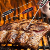 Digital Meat Thermometer, 2 Pack $7.98 After Code (Reg. $20) - $4 Each