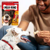 Milk-Bone Original Medium Dog Biscuit Treats, 24 Oz as low as $2.39 when...