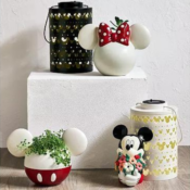 The Big One Disney's Mickey Mouse Bouquet LED Solar Lantern $12.79 After...