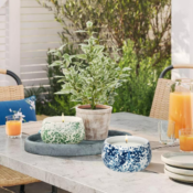 Threshold Ceramic Citronella Jar Candle $10.50 (Reg. $15) - 2 Colors