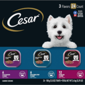 Cesar 24-Count Filets in Gravy Adult Wet Dog Food Variety Pack as low as...