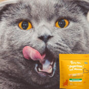 Zesty Paws Cat Mousse Squeeze Up Treats, Chicken, 18-Count as low as $13.98...