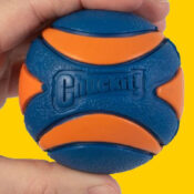 Chuckit! Ultra Squeaker Dog Ball, Fetch Toy (Medium) $2.57 After Coupon...