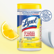 Lysol 160-Count Disinfectant Wipes, Lemon and Lime Blossom as low as $7.09...