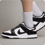 Show Off that Varsity Spirit with Nike Sb Dunk Low Retro Skateboard Shoes...