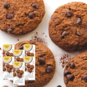 Simple Mills 6-Pack Double Chocolate Chip Cookies as low as $19.24 After...