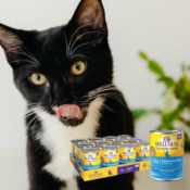 Wellness 12-Pack Complete Health Grain Free Wet Cat Food as low as $30.16...