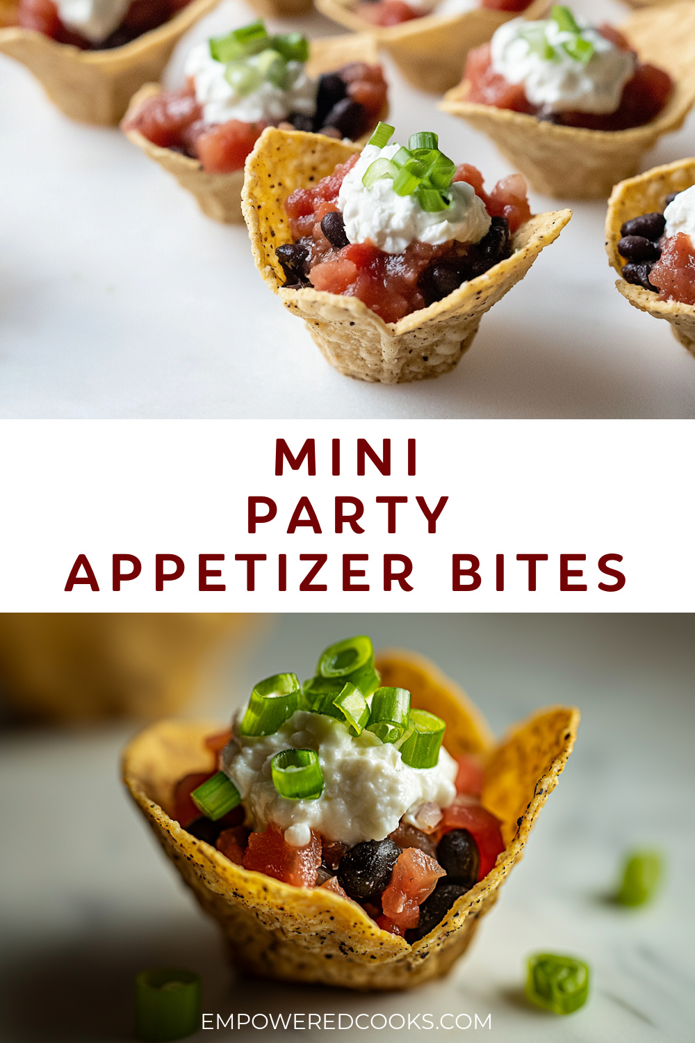 mini party appetizer bites