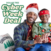 Dollar Tree Cyber Week Deal – FREE Shipping 2 Days ONLY with Code