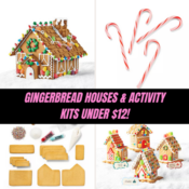 Gingerbread Houses & Activity Kits under $12!