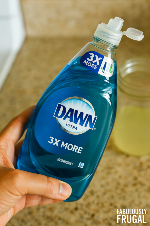 hand holding dawn dish soap with fly catcher mix in a mason jar in the background and fabulesslyfrugal.com branding