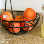diy fly catcher on counter top with bowl of fruit and fabulesslyfrugal.com branding