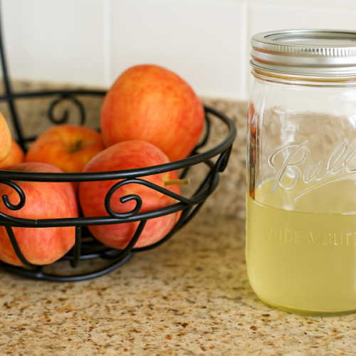 diy fly catcher on counter top with bowl of fruit and fabulesslyfrugal.com branding